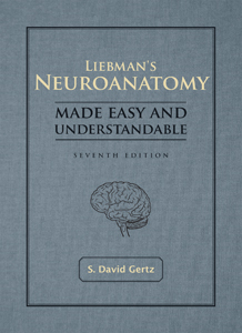 liebmans-neuroanatomy-made-easy-understandable-image1